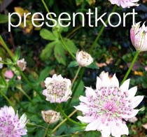 presentkort